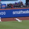 Mets’ Tyrone Taylor makes an incredible diving catch vs. Diamondbacks